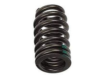 GM 12677931 Valve Springs