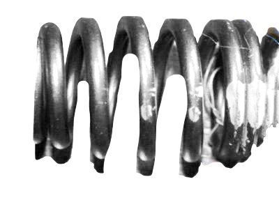 GM 10166343 Valve Springs