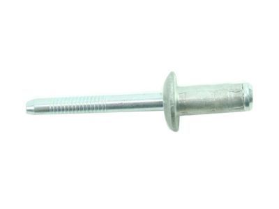 GM 11561257 Handle Rivet