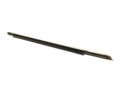 GM 10325226 Belt Weatherstrip