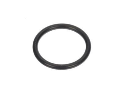 GM 10189205 By-Pass Pipe Seal