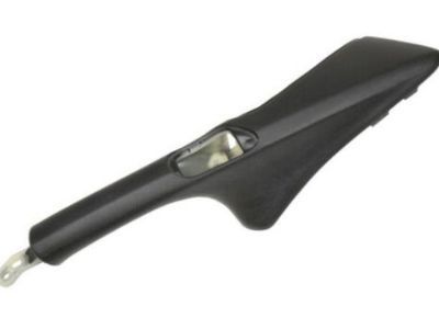 GM 10348317 Handle Asm-Front Side Door Pull *Ebony