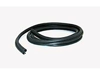 GM 19207495 Door Weatherstrip