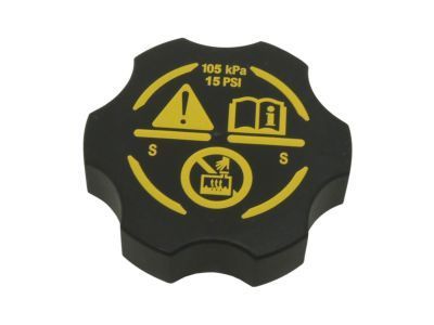 GM 13502354 Reservoir Cap