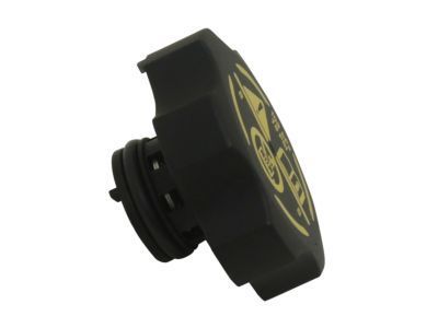 GM 13502354 Reservoir Cap