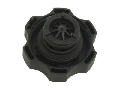 GM 13502354 Reservoir Cap