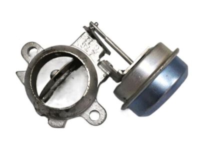 GM 5233475 Valve & Actuator Asm-Efe