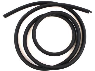 GM 15100042 Surround Weatherstrip