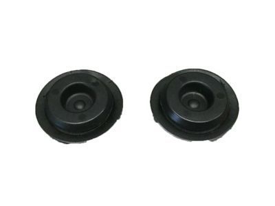 GM 21038829 Grommet-R