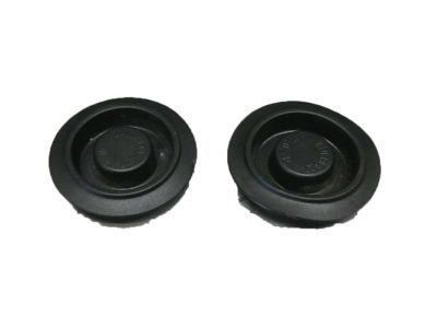 GM 21038829 Grommet-R