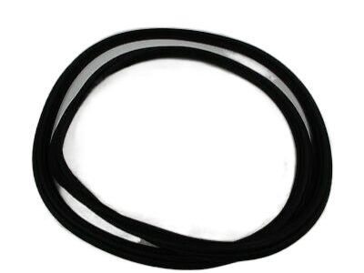 GM 23131014 Weatherstrip