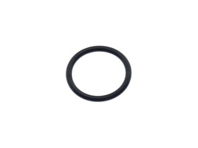 GM 25188305 Filter Seal