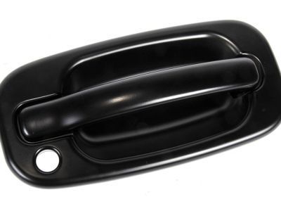 GM 19245506 Handle, Outside