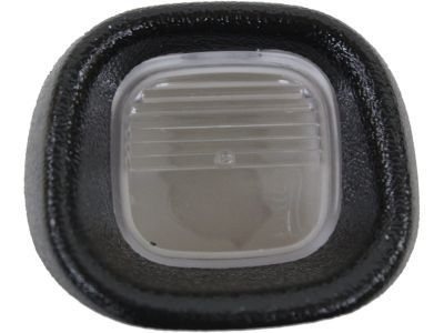 GM 15721389 License Lamp