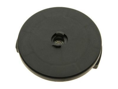 GM 11562183 Woofer Retainer Nut