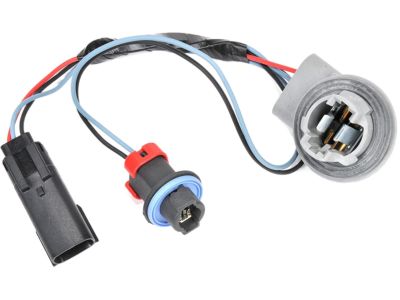 GM 15815488 Socket & Wire