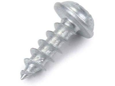 GM 11900491 Side Molding Screw