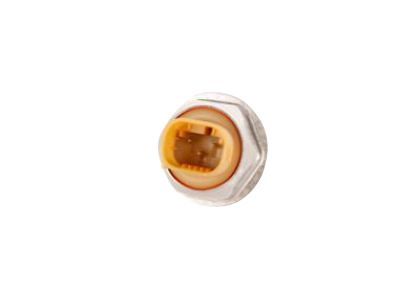 GM 25743362 Pressure Sensor