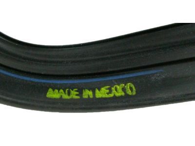 GM 20869144 Run Weatherstrip