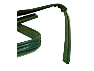 GM 20869144 Run Weatherstrip