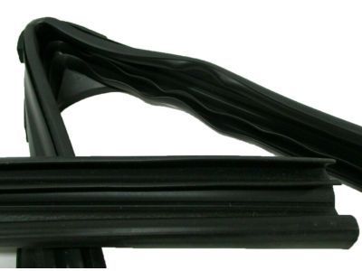 GM 20869144 Run Weatherstrip