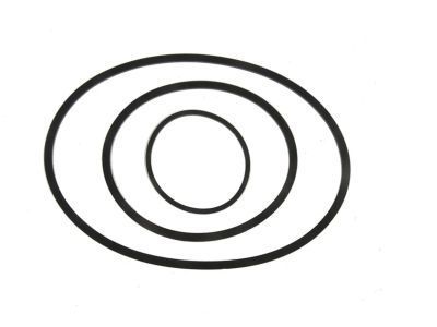 GM 19300335 Extension Housing Seal