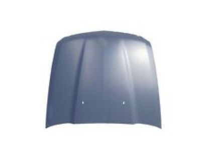 GM 42666881 Hood