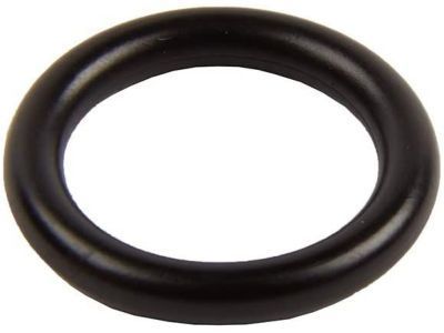 GM 25198928 Cooling Pipe Seal
