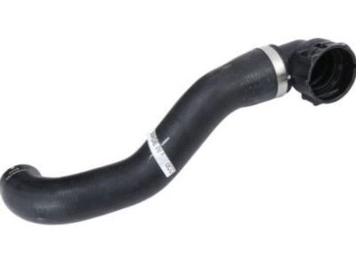 GM 19130526 Upper Hose