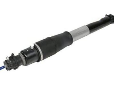 GM 19302769 Shock Absorber