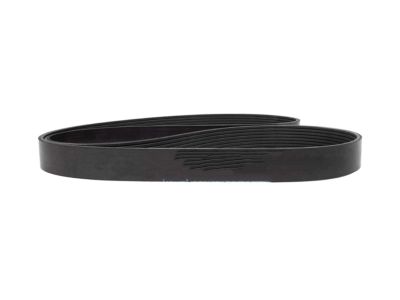 GM 10105246 Belt