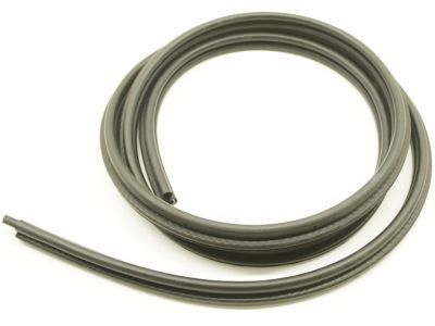 GM 15100041 Surround Weatherstrip