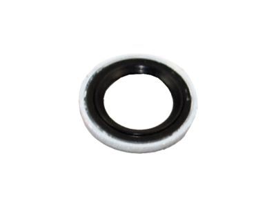 GM 52474373 Suction Hose Seal