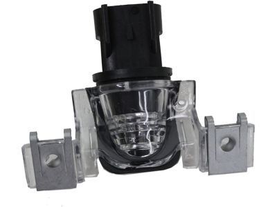 GM 22799748 License Lamp