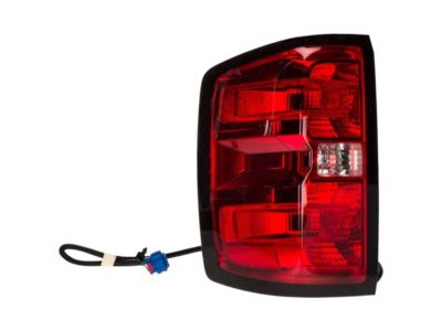 GM 23431875 Tail Lamp Assembly