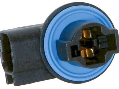 GM 19352813 Socket & Wire