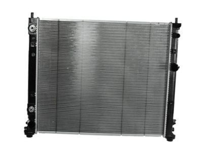 GM 19258626 Radiator Assembly