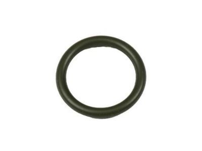 GM 12577855 Oil Outlet Tube Seal