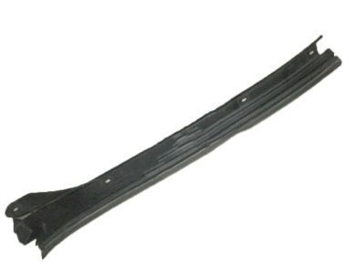 GM 20918020 Side Molding