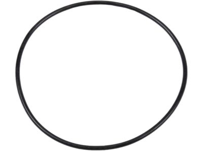 GM 90079848 Seal, Differential Bearing Adjust Ring(N00&L73&M21/M79)