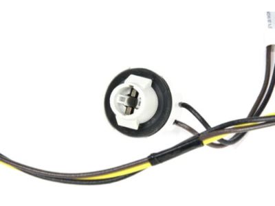 GM 25927356 Socket & Wire