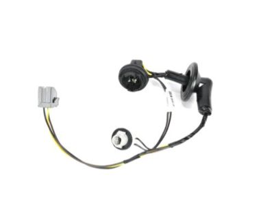 GM 25927356 Socket & Wire