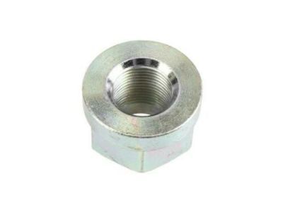 GM 94515438 Lock Nut