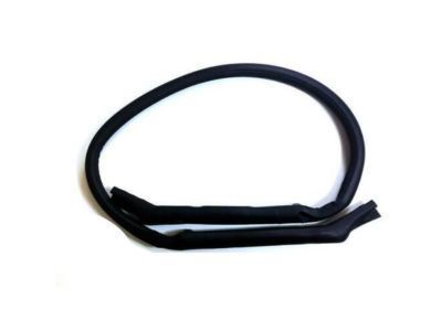 GM 10329158 Weatherstrip Asm-Roof Lift Off Panel/Window Rear*Black