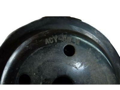 GM 10215266 Pulley-Fan