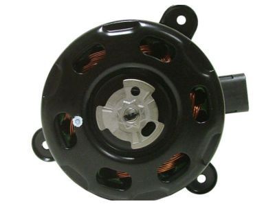 GM 89018695 Fan Motor