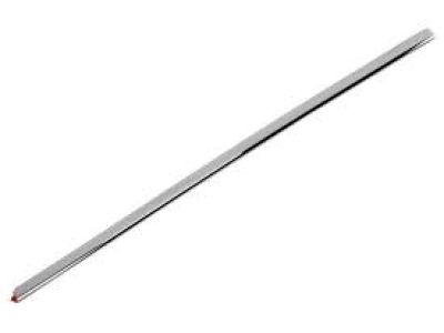 GM 22775455 Body Side Molding