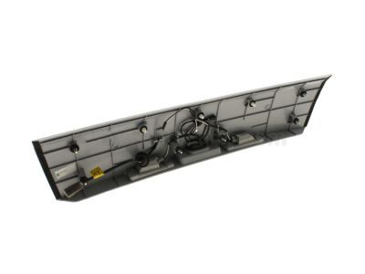 GM 96955077 Center Panel