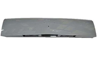 GM 96955077 Center Panel