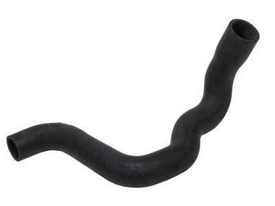 GM 15659613 Radiator Outlet Hose (Lower)